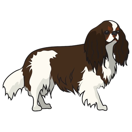 Signmission English Toy Spaniel Dog Decal, Dog Lover Decor Vinyl Sticker D-12-English Toy Spaniel